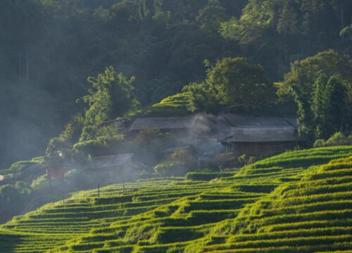 Wild Kerala Tour Packages