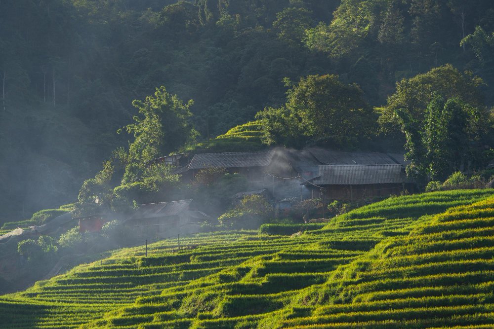 Wild Kerala Tour Packages