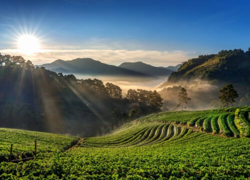 Top 10 Tourist Places to Visit in Kerala