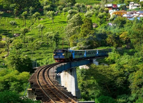 Ooty