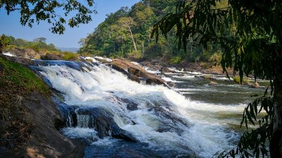 Athirappilly & Vazhachal