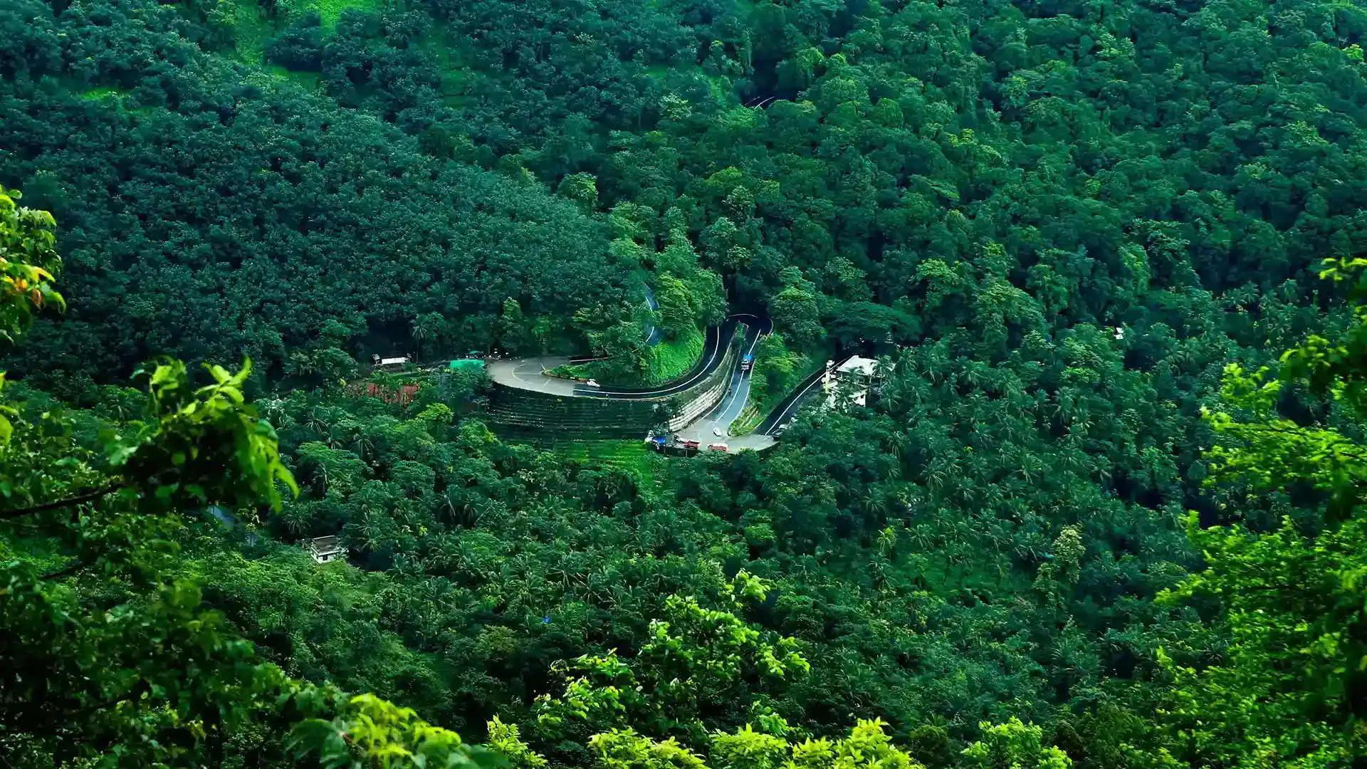 Wayanad