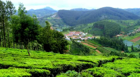 Ooty